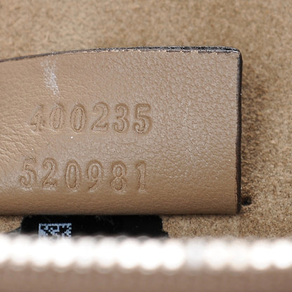 Gucci GG Supreme Monogram Lightning Embroidered Medium Dionysus Shoulder Bag Beige 8 of 10