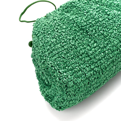 Bottega Veneta Boucle Curly Raffia The Mini Pouch Parakeet 10 of 11