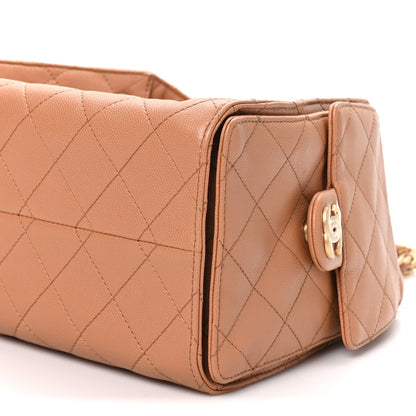 Chanel Caviar Quilted Small Chanel 25 Handbag Brown 9 of 10