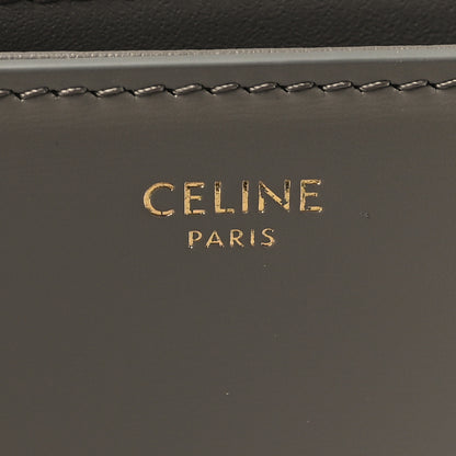 Celine Shiny Calfskin Medium Triomphe Pebble 6 of 10