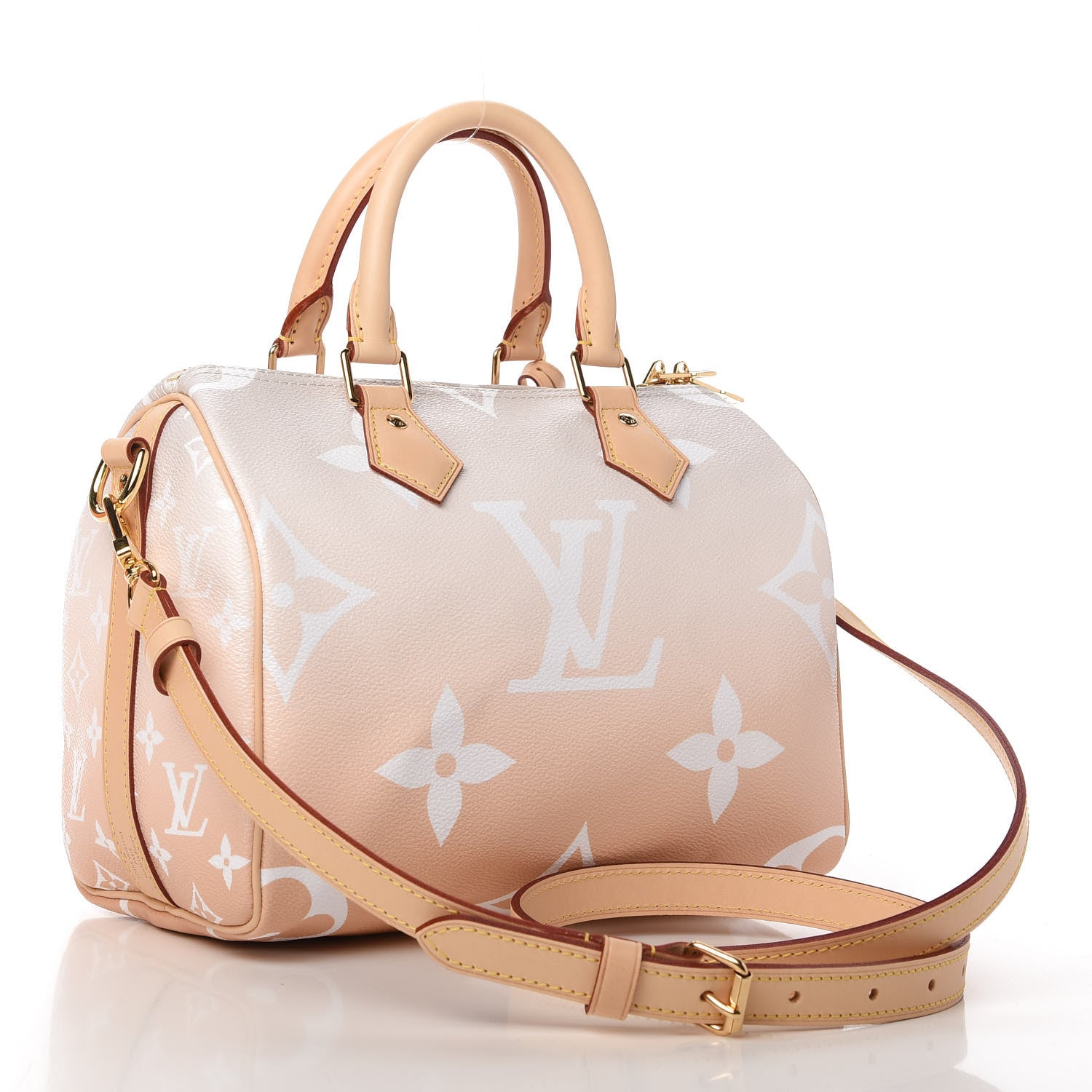 Louis Vuitton Monogram Giant By The Pool Speedy Bandouliere 25 Brume 3 of 10