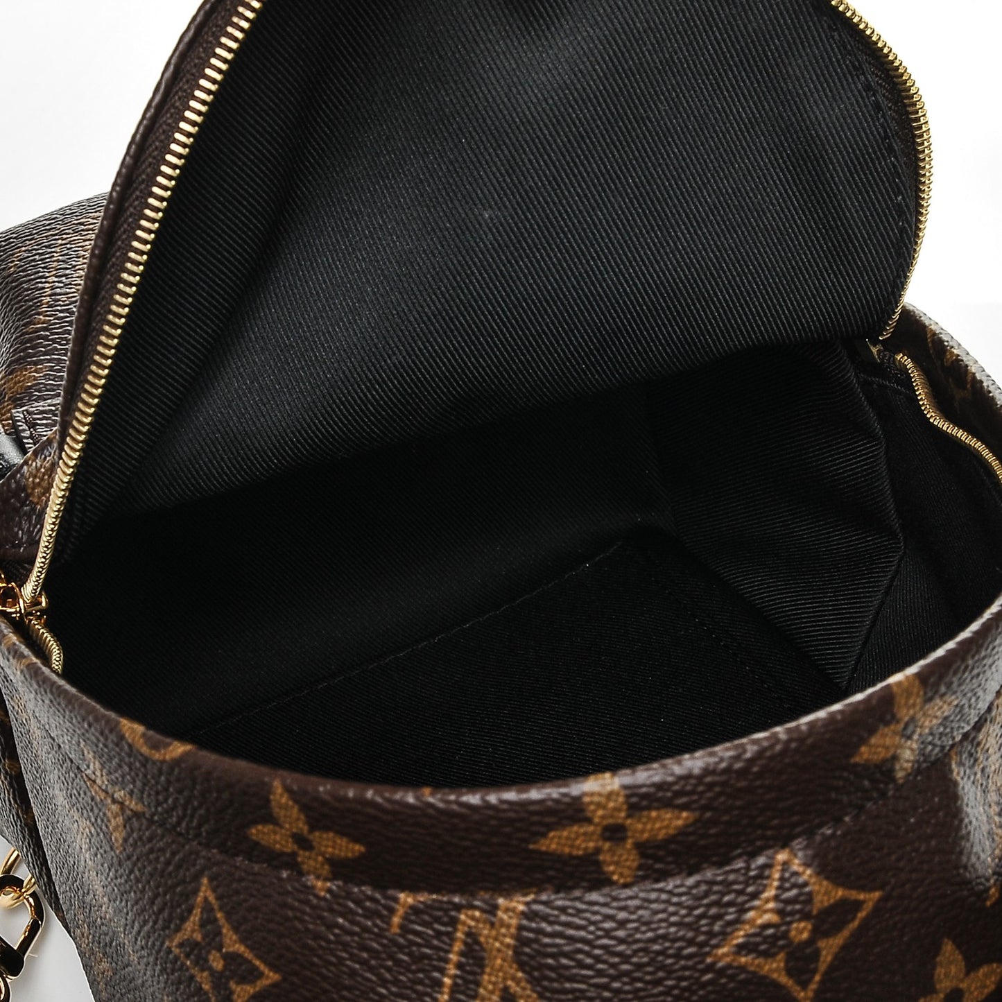 Monogram Palm Springs Backpack Mini
