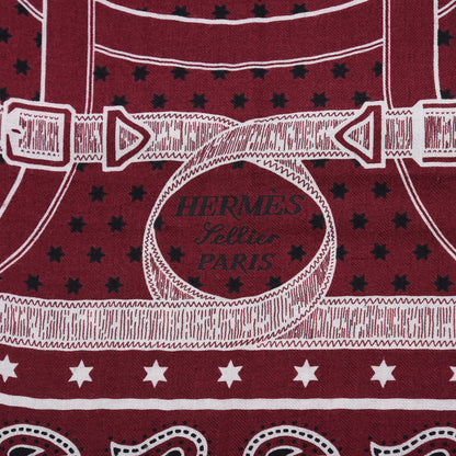 Hermes Cashmere Silk Eperon D'Or Bandana Shawl 140 4 of 5