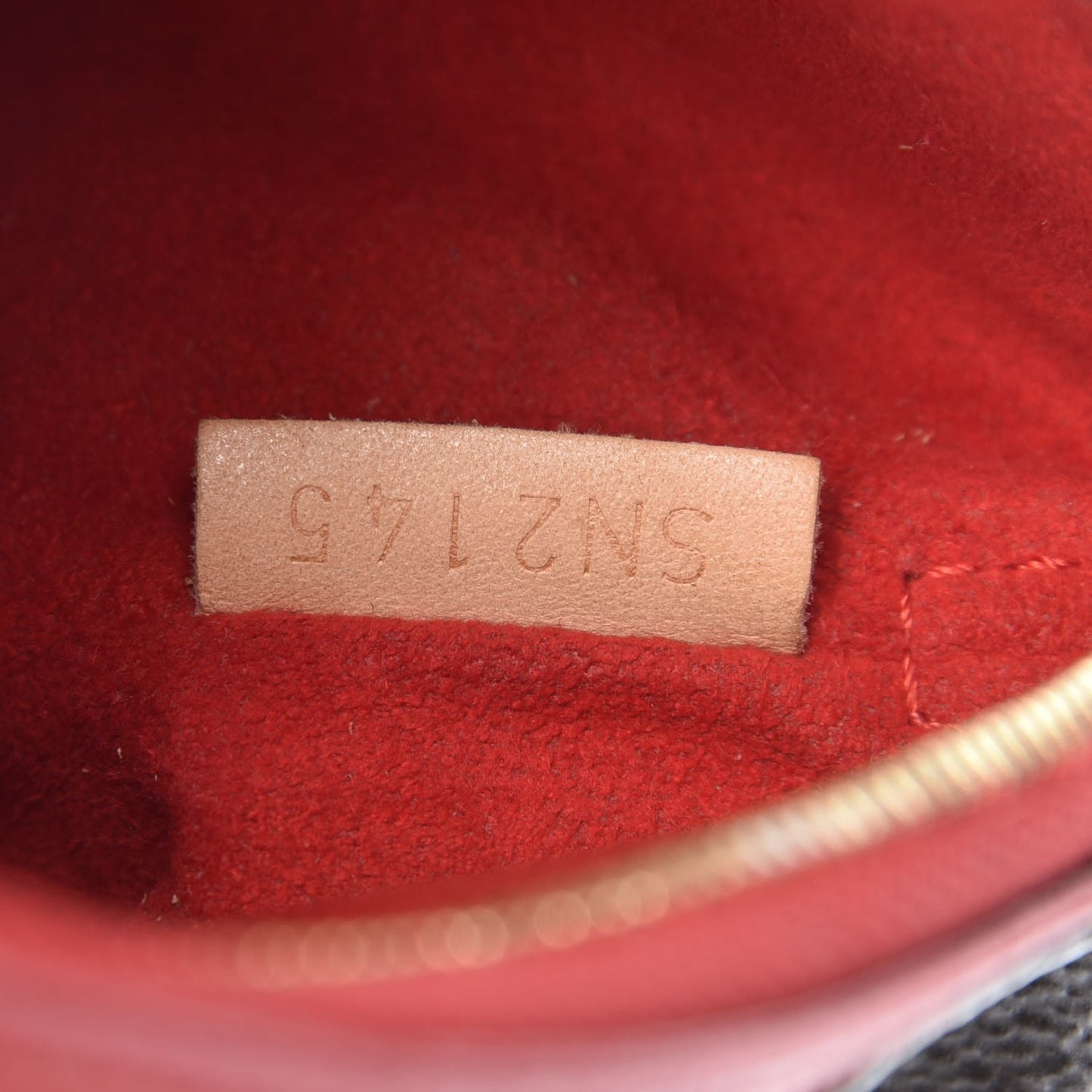 Monogram Nano Pallas Cherry