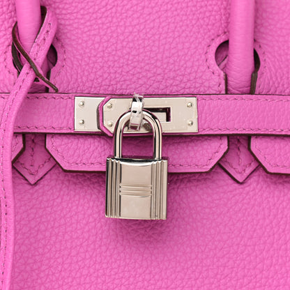 Hermes Togo Birkin 25 Magnolia 7 of 10