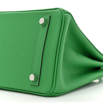 Hermes Togo Birkin 25 Bambou 9 of 11