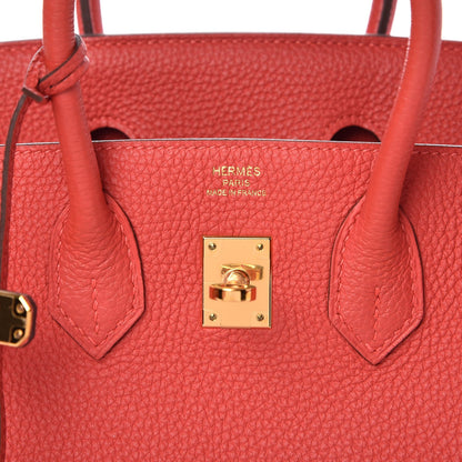 Hermes Togo Birkin 25 Rouge Pivoine 6 of 9