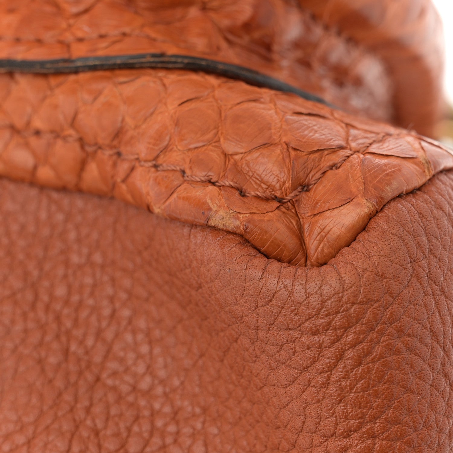 Chloe Snakeskin Medium Paraty Brown 14 of 14