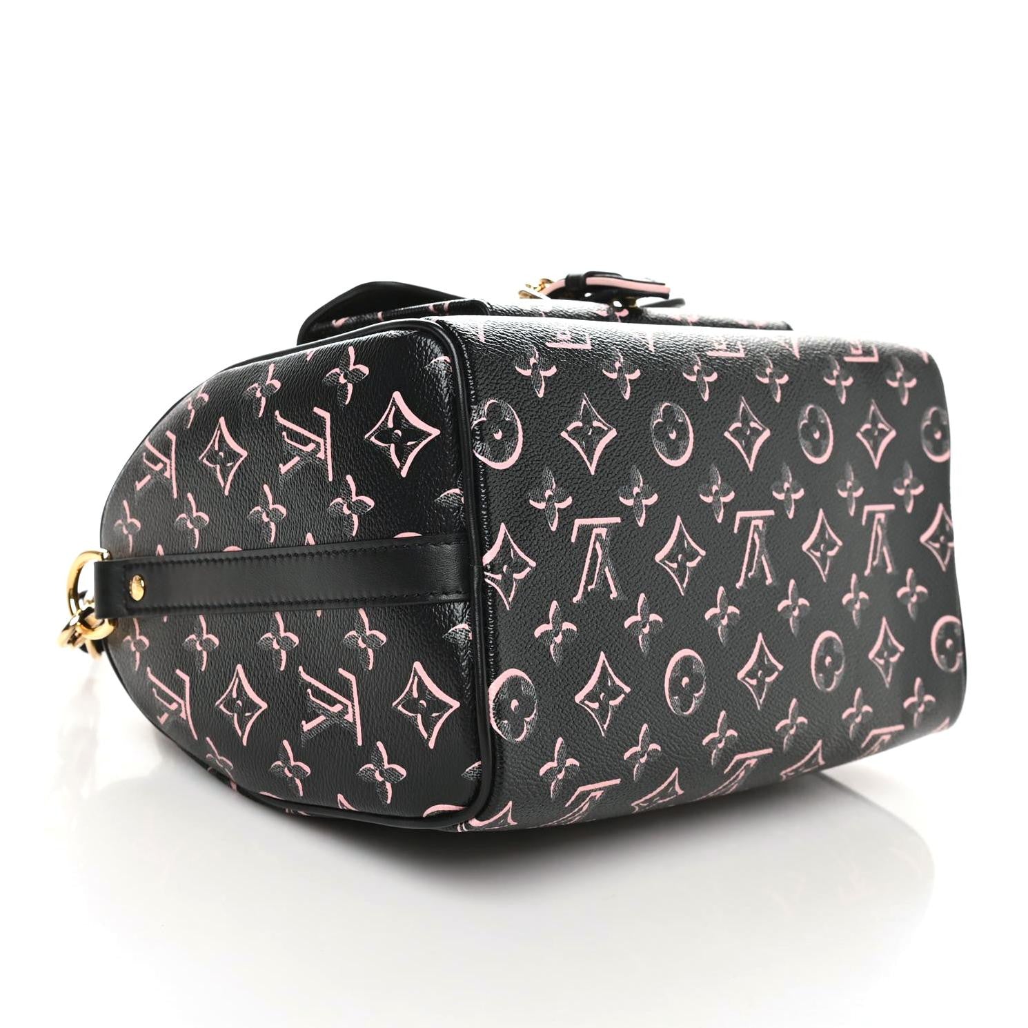 Louis Vuitton Monogram Fall for You Speedy Bandouliere 25 Black 5 of 9