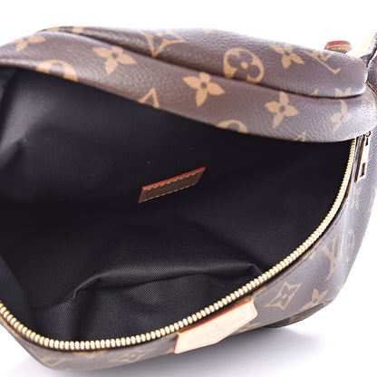 Louis Vuitton Monogram Bumbag 4 of 11