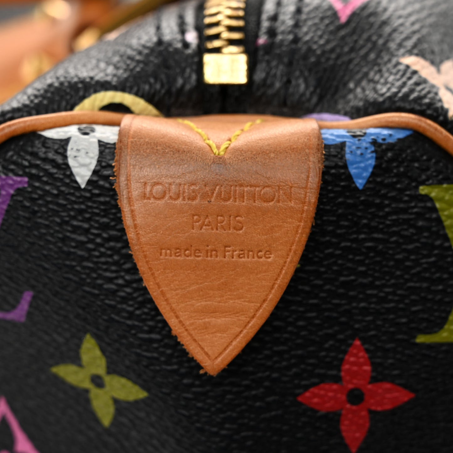 Monogram Multicolor Speedy 30 Black