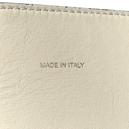 Celine Shiny Smooth Calfskin Small Twisted Cabas Multicolor 7 of 14