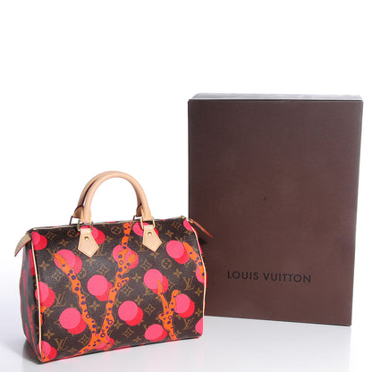 Louis Vuitton Monogram Ramages Speedy 30 Grenade 8 of 8