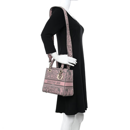 Christian Dior Canvas Toile De Jouy Embroidered Medium Lady D-Lite Gray Pink 2 of 13