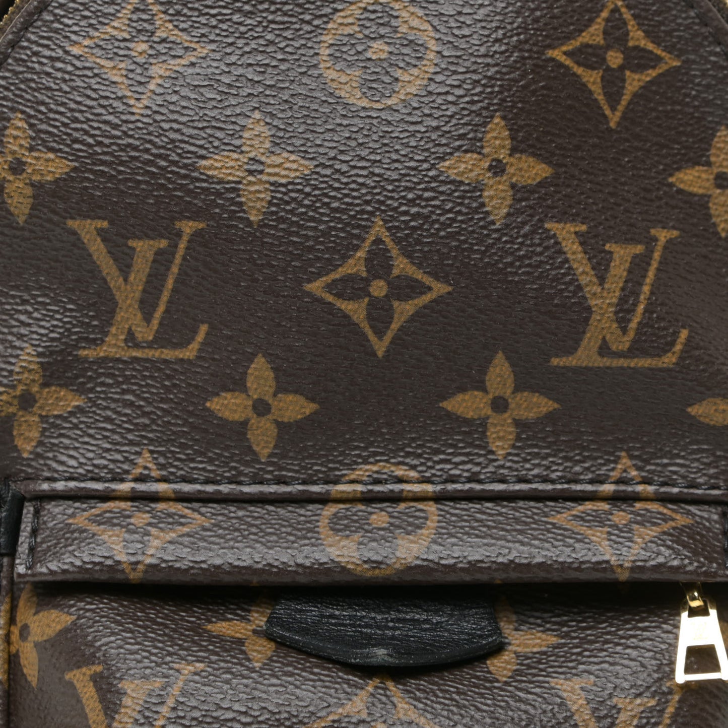 Monogram Palm Springs Backpack Mini