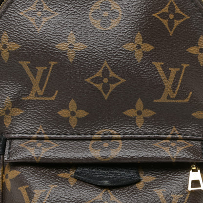 Louis Vuitton Monogram Palm Springs Backpack Mini 7 of 11