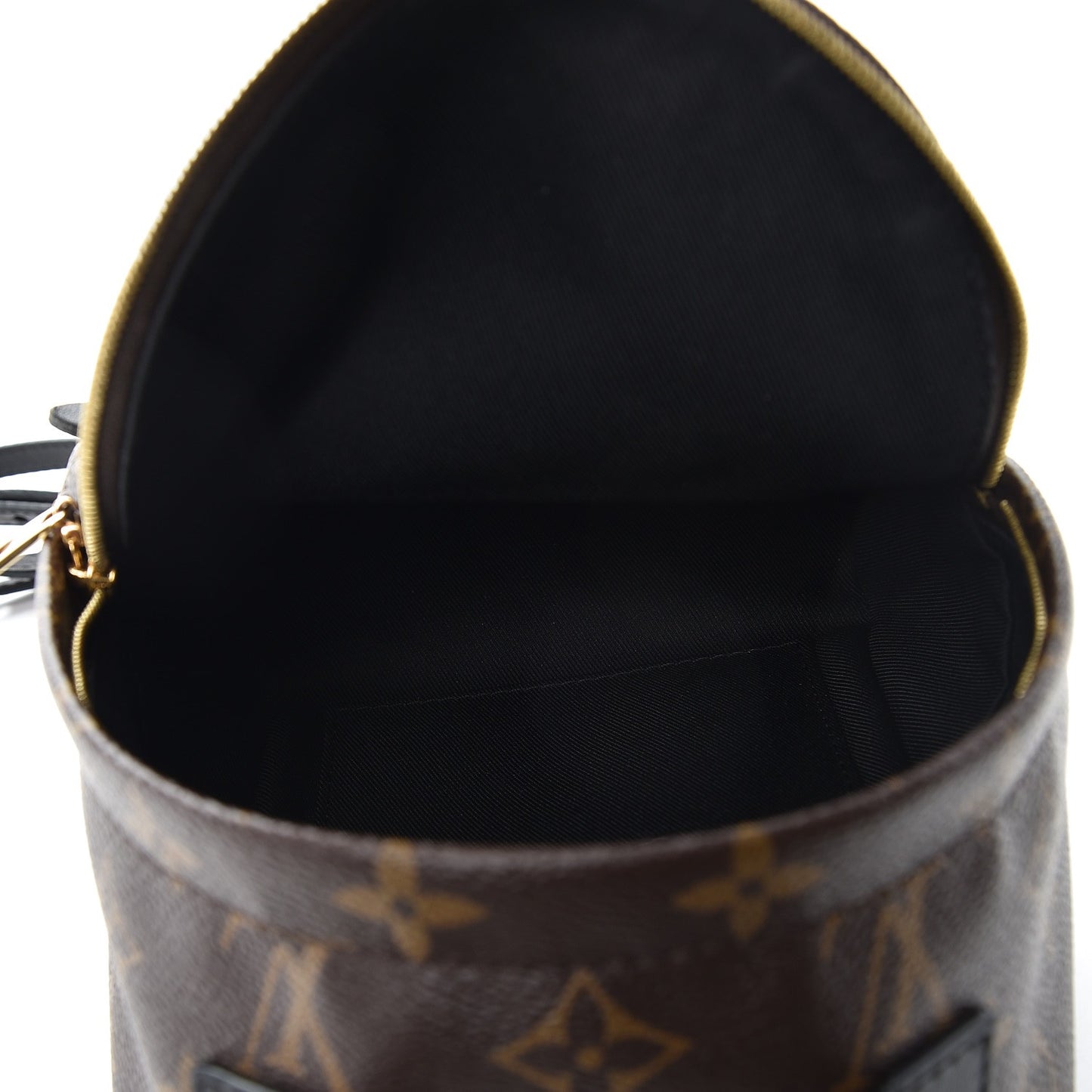 Monogram Palm Springs Backpack Mini