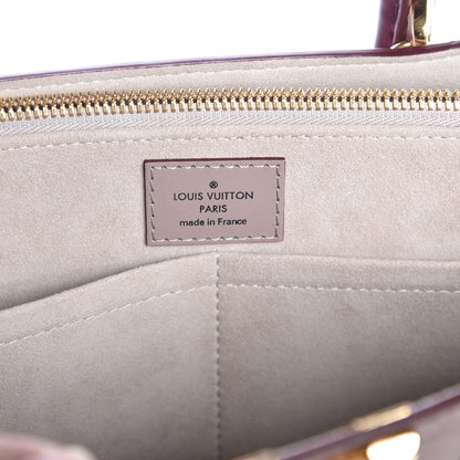 Louis Vuitton Monogram Cuir Plume Very Tote MM Mastic Raisin 8 of 8