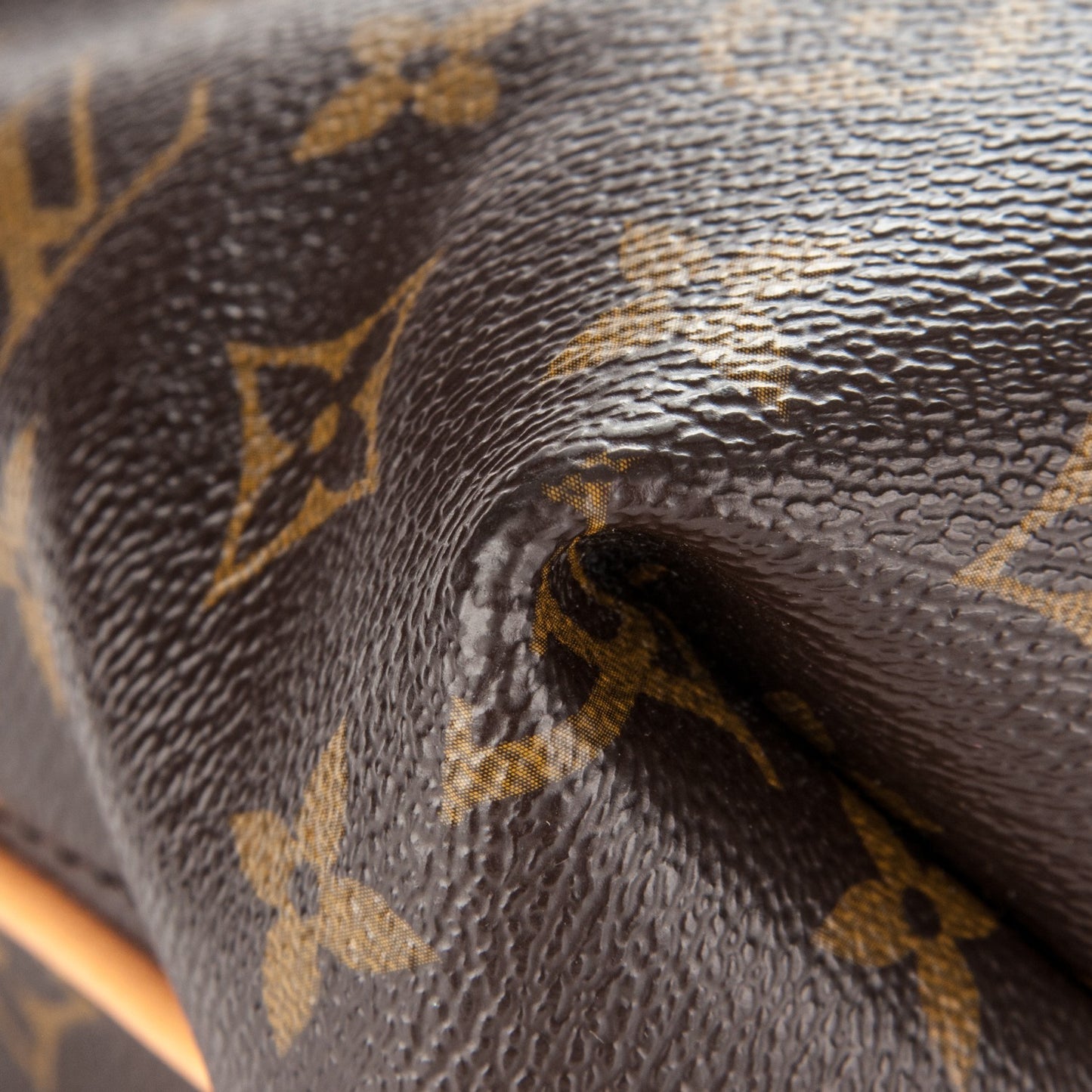 Monogram Sully PM