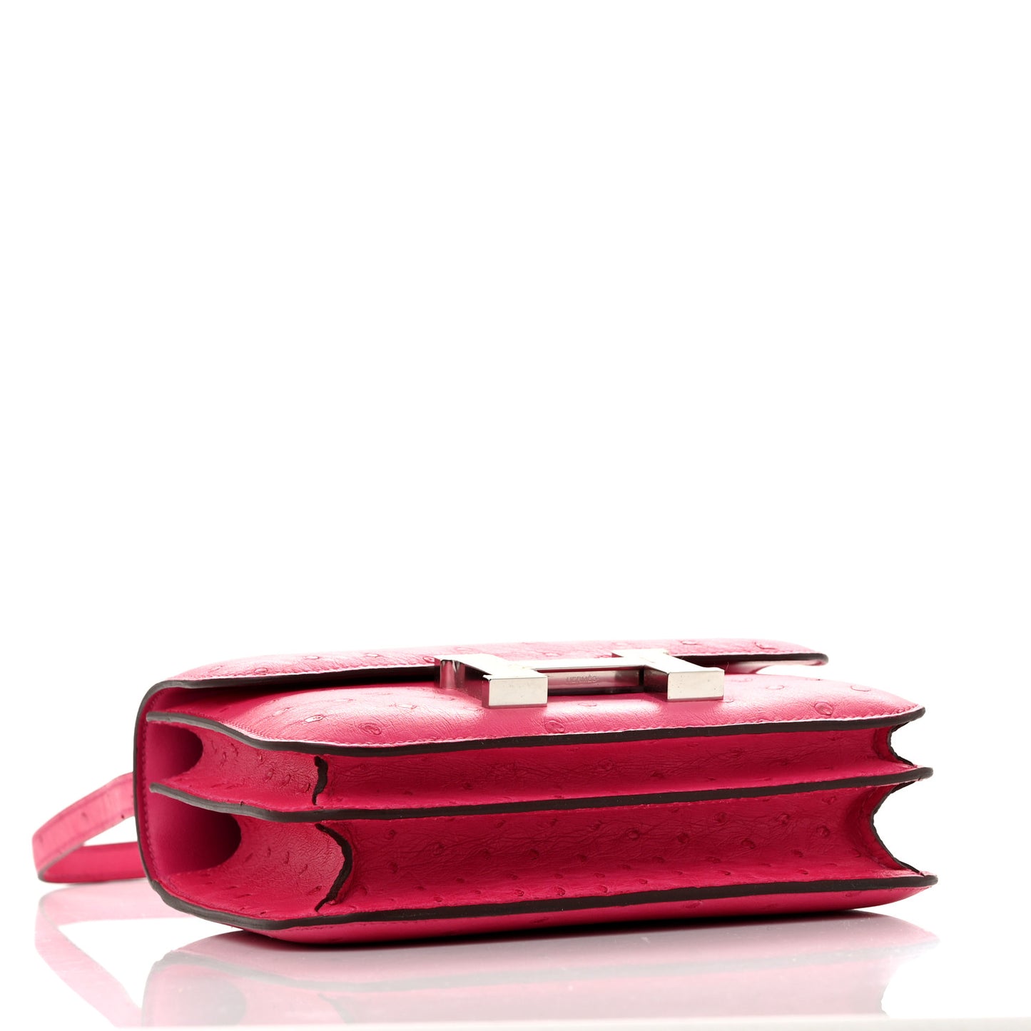 Ostrich Constance 18 Rose Pourpre