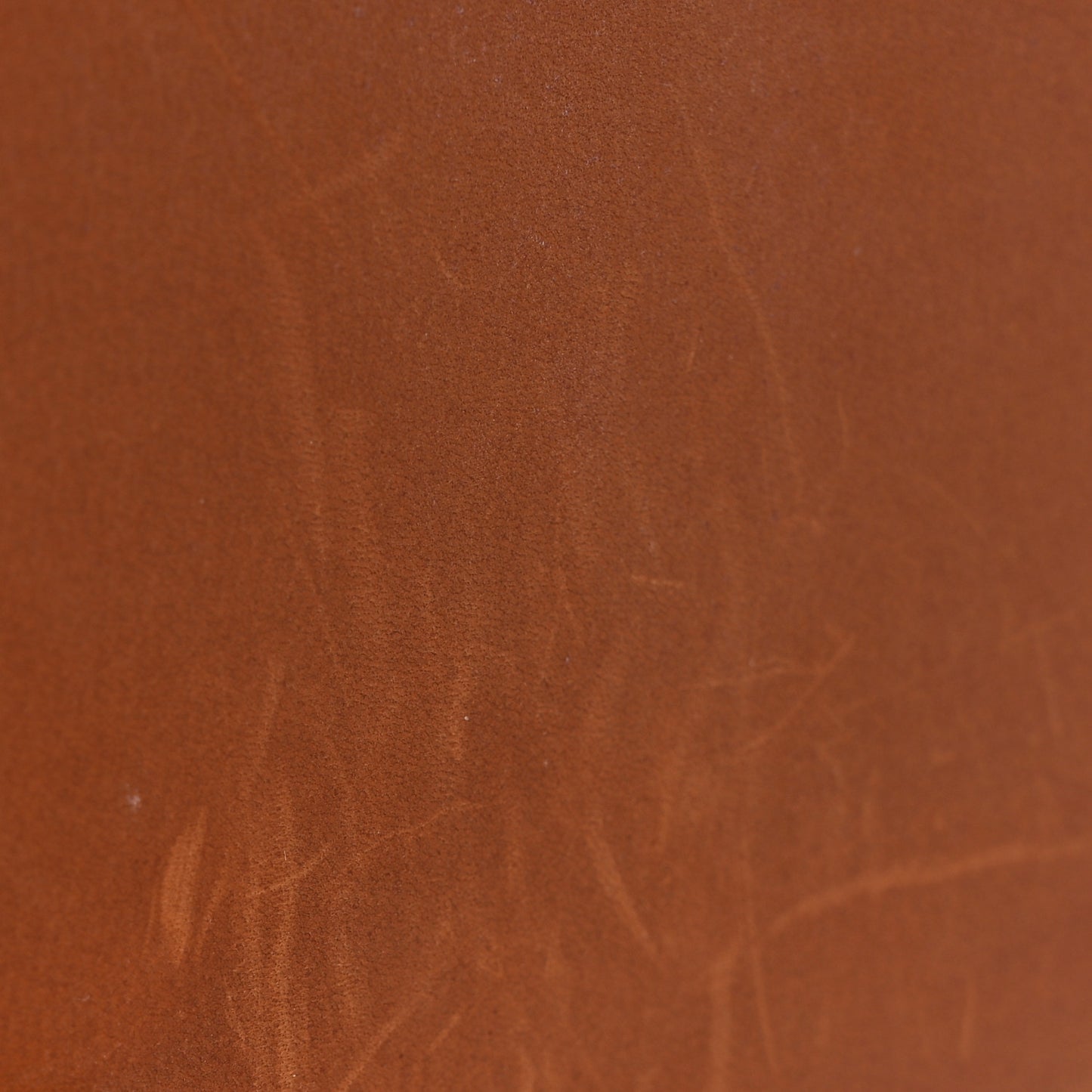 Barenia Rejane BB Cognac