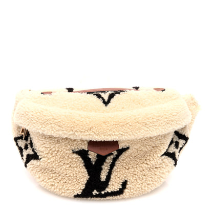 Louis Vuitton Monogram Teddy Bumbag 1 of 8