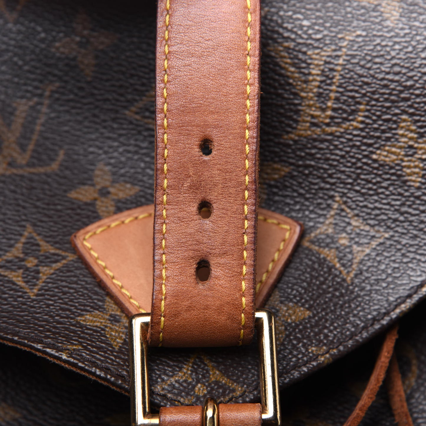 Monogram Montsouris GM Backpack