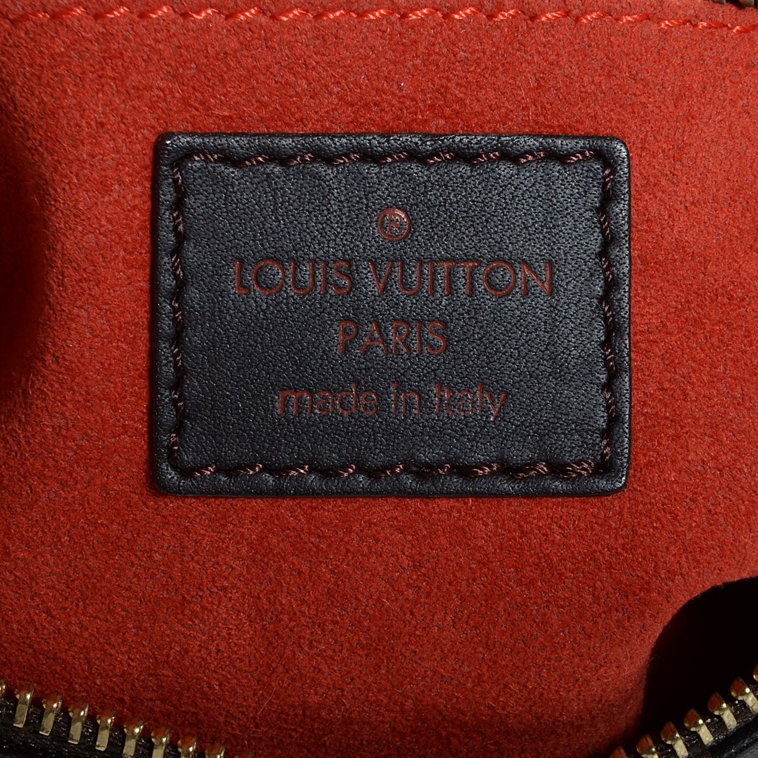 Louis Vuitton Damier Sauvage Tigre 6 of 7