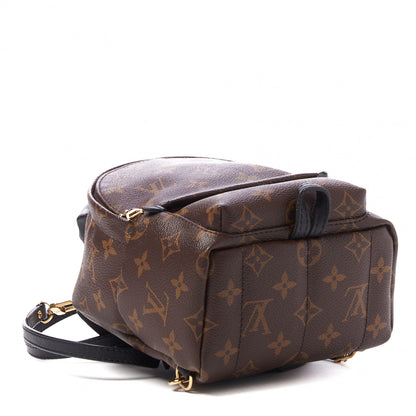 Louis Vuitton Monogram Palm Springs Backpack Mini 4 of 9