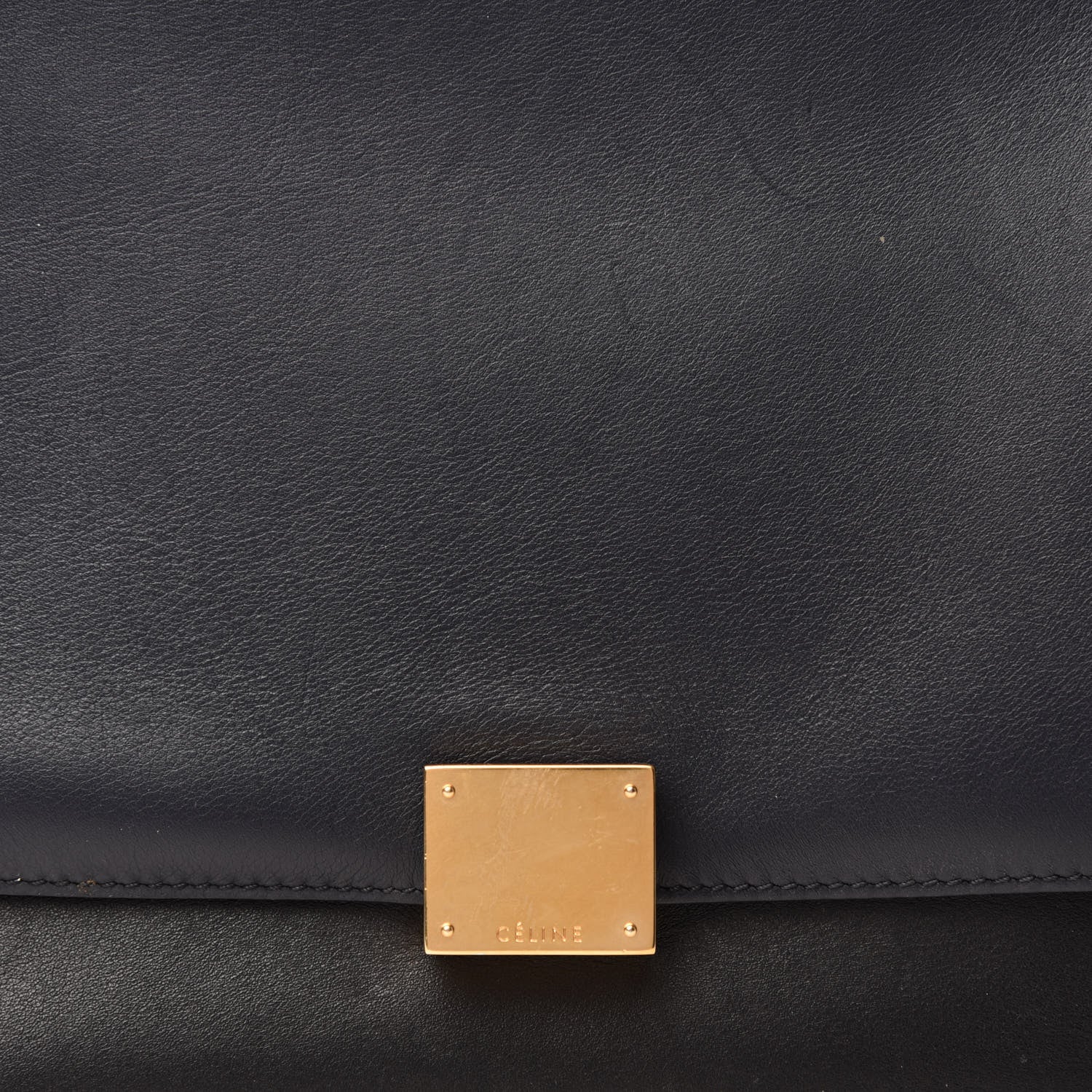 Celine Smooth Calfskin Suede Medium Tri-Color Trapeze Grass 13 of 13