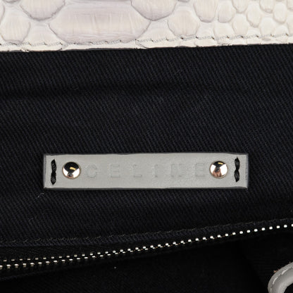 Celine Python Frame Tote White 6 of 7