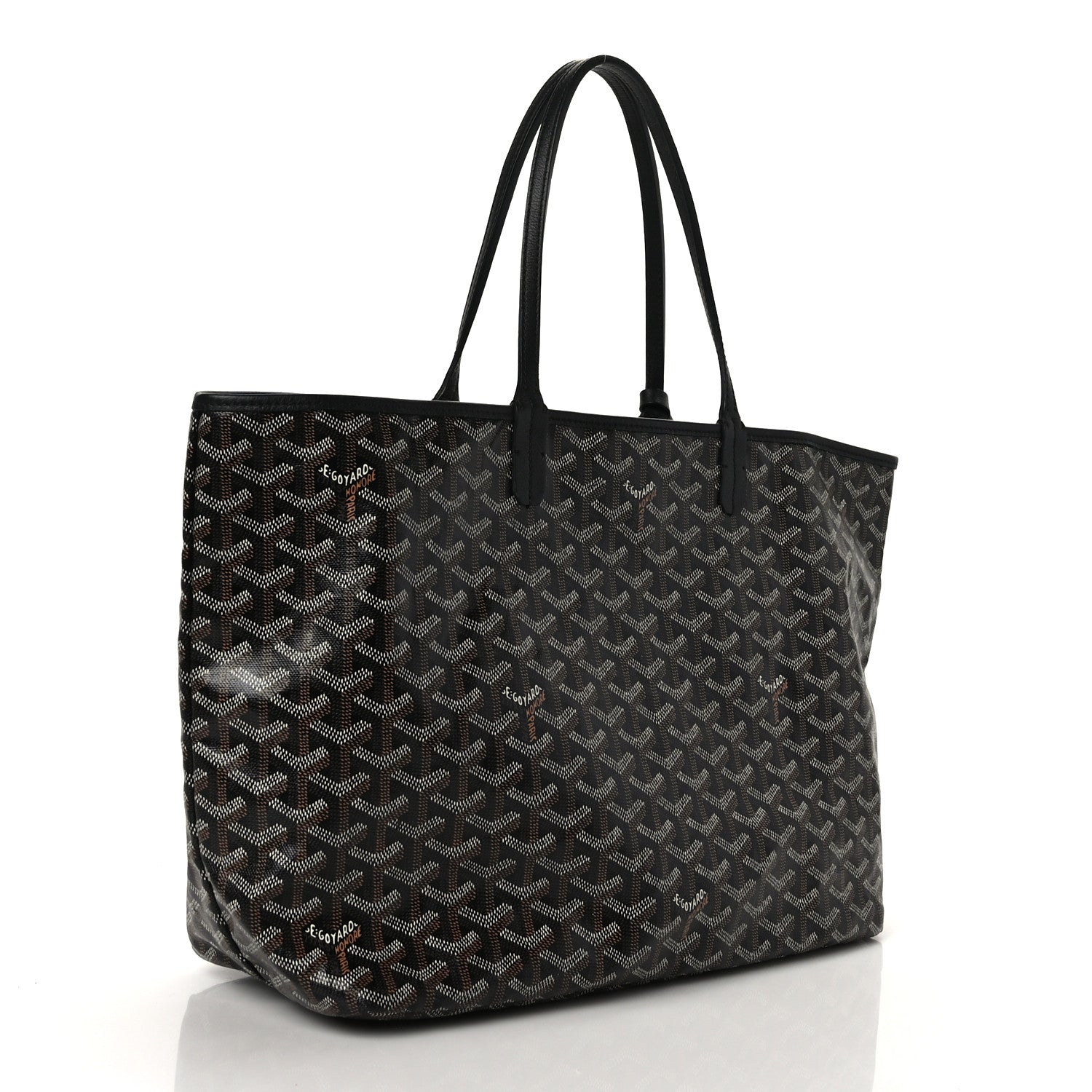 Goyard Goyardine Saint Louis PM Black 4 of 12