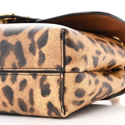 Celine Canvas Leopard Teen Victoire Tan 11 of 11