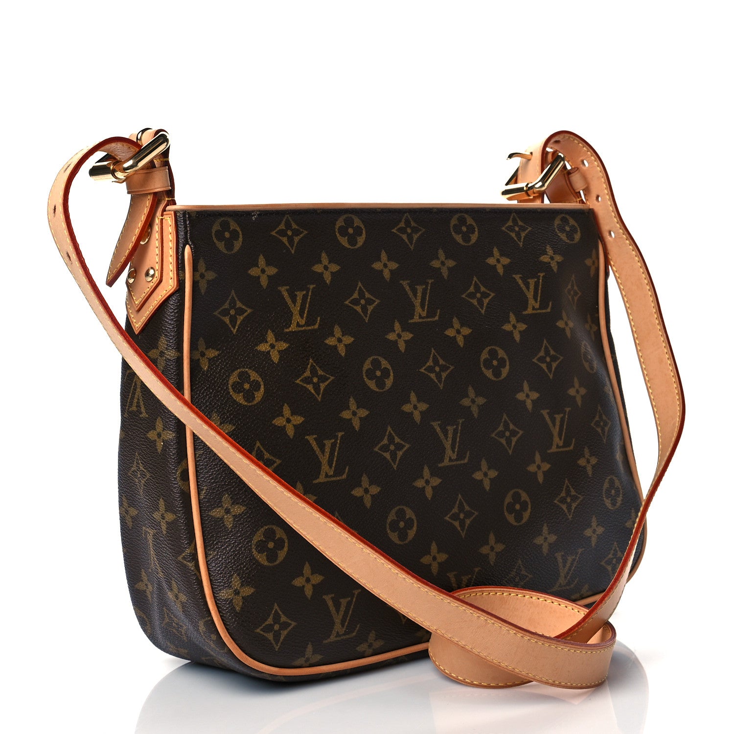 Louis Vuitton Monogram Hudson GM 3 of 10