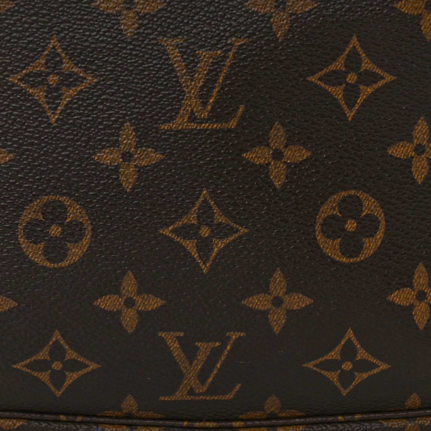 Monogram Pochette Accessories
