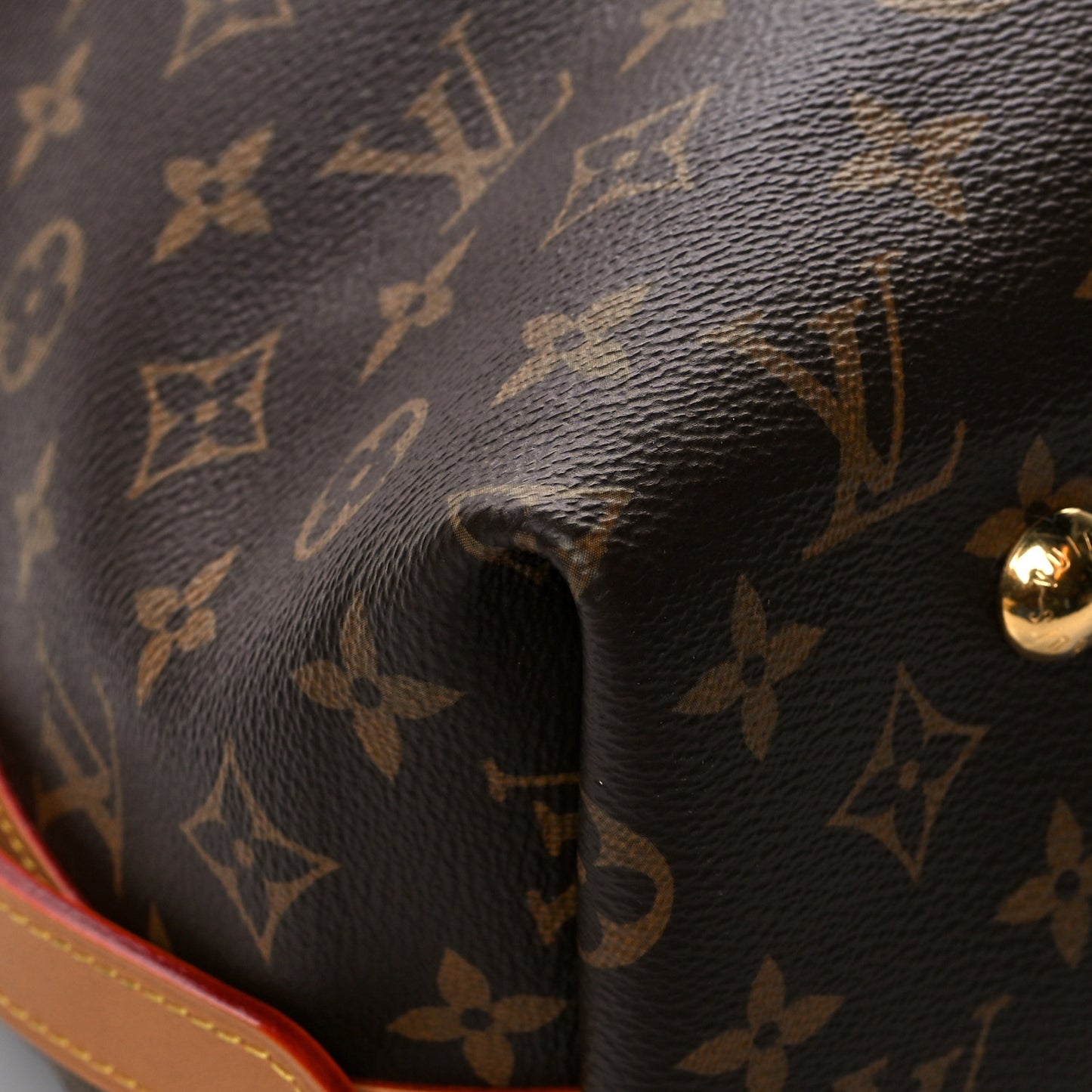 Monogram CarryAll MM