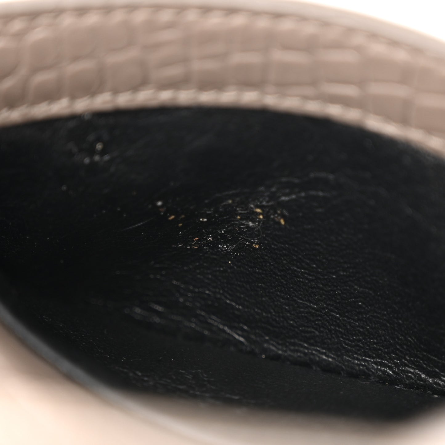 Calfskin Crocodile Embossed Monogram Mini Lou Camera Bag Fog