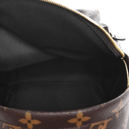 Louis Vuitton Monogram Palm Springs Backpack Mini 5 of 7