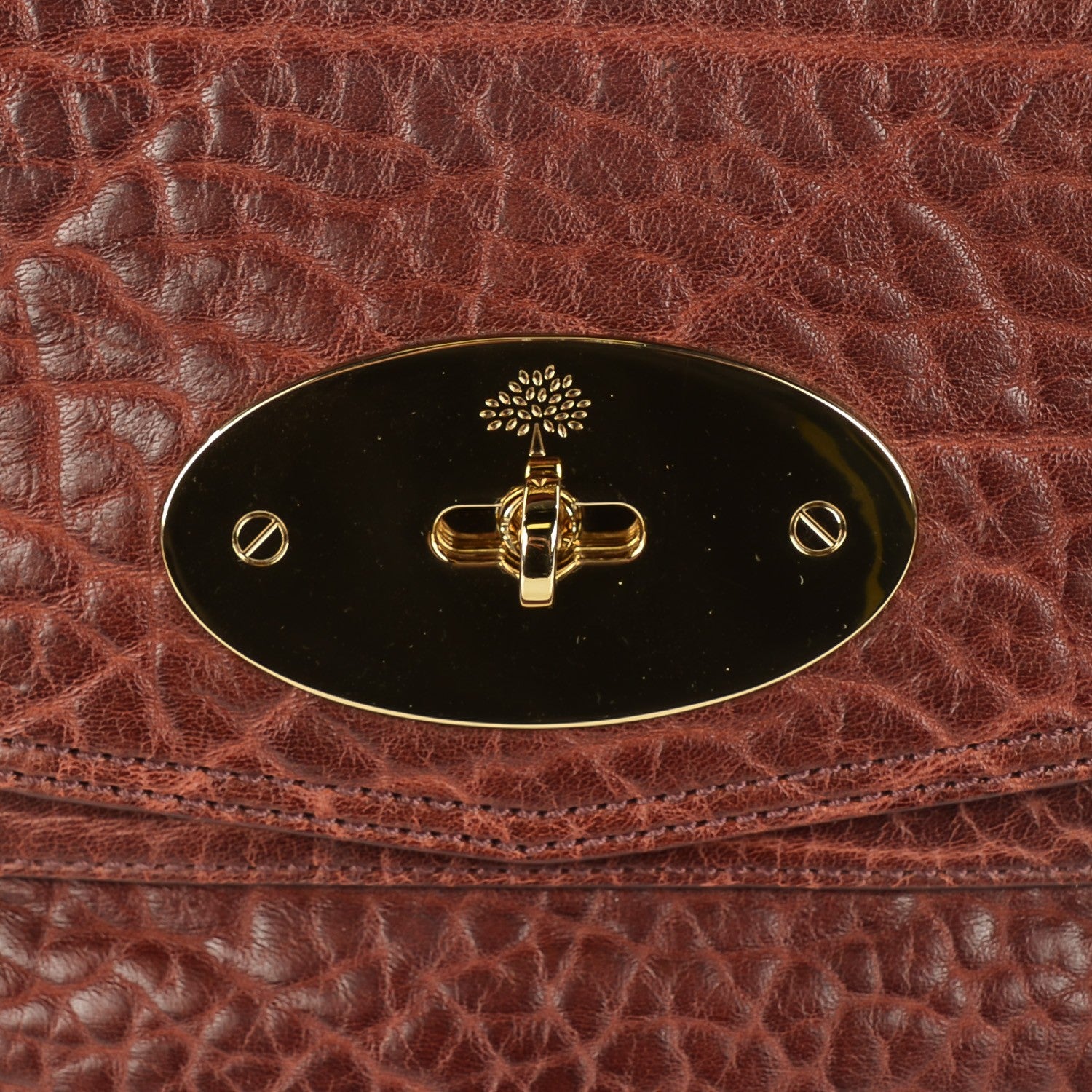 Mulberry Shrunken Calfskin Medium Alexa Oxblood 7 of 11