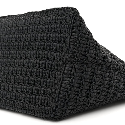 Saint Laurent Raffia Le Crossbody Black 10 of 13