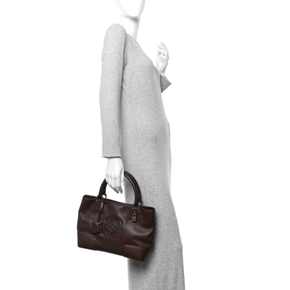 Loewe Calfskin Amazona Brown 2 of 11