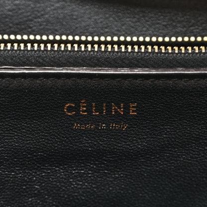 Celine Snakeskin Medium Classic Box Flap Bag Brown 6 of 11