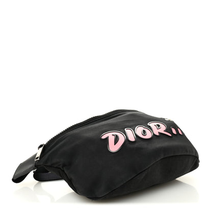Christian Dior X KAWS Nylon Calfskin Bee Belt Bag Black 4 of 11