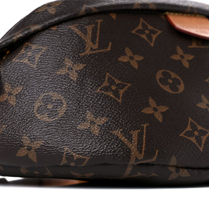 Louis Vuitton Monogram Bumbag 9 of 20