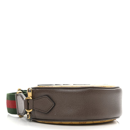 Gucci X ADIDAS Crystal Vintage Monogram Textured Dollar Calfskin Web Trefoil Small Ophidia Round Shoulder Bag Mid Natural Nut Off White New Acero 4 of 11