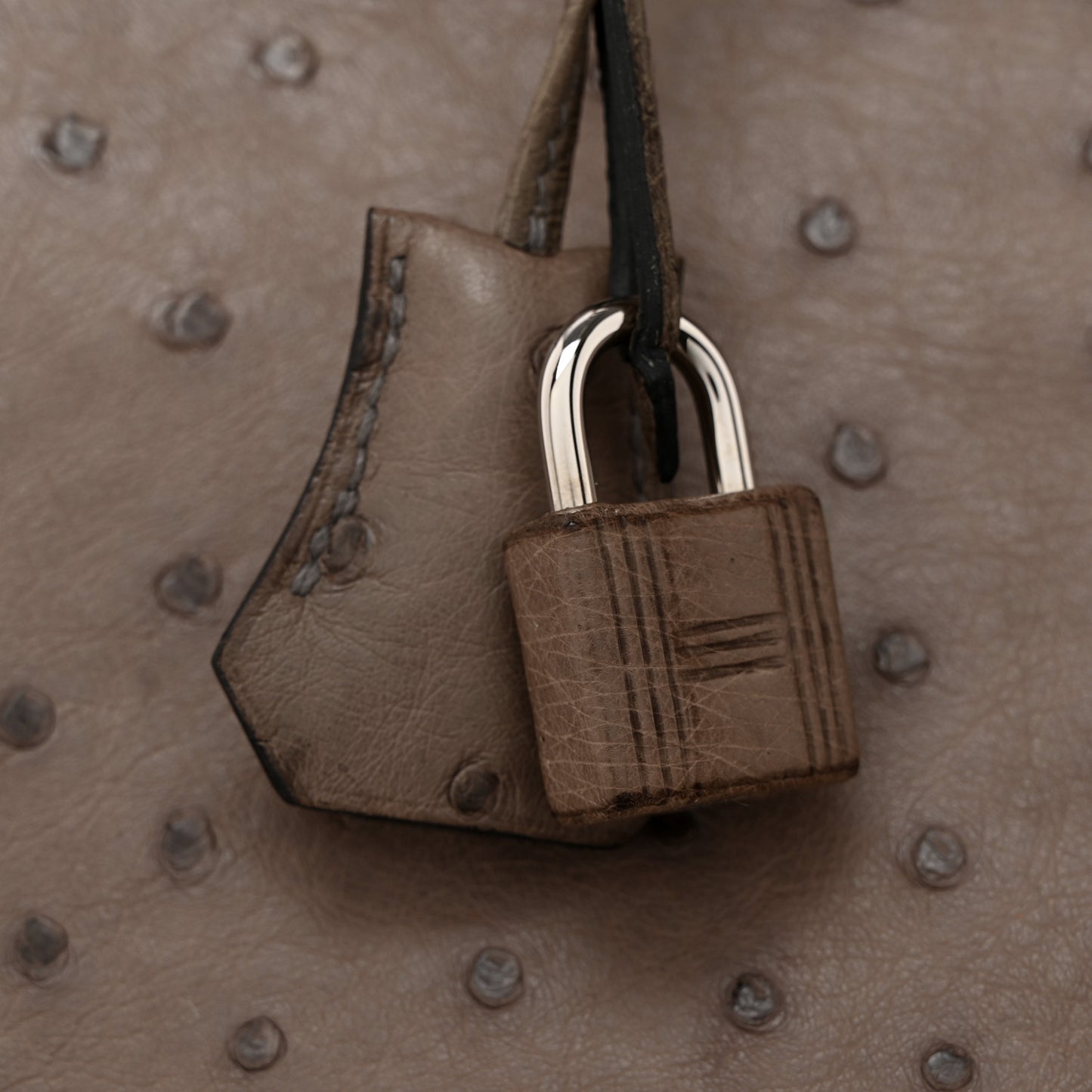 Ostrich Birkin 30 Gris Tourterelle