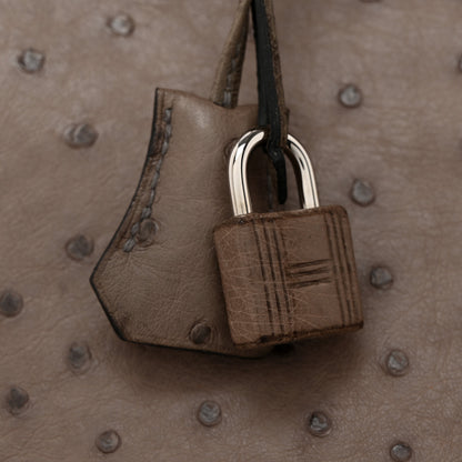 Hermes Ostrich Birkin 30 Gris Tourterelle 12 of 12