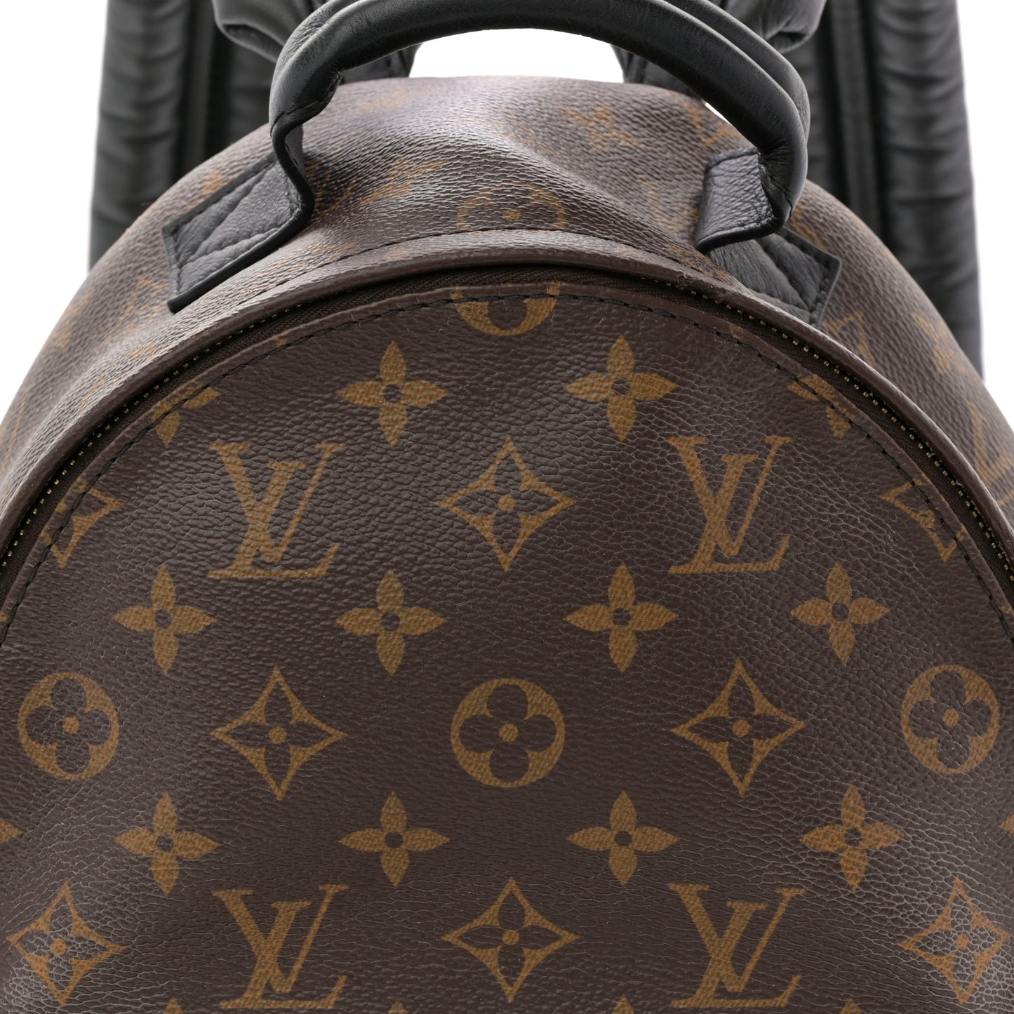 Monogram Palm Springs Backpack PM