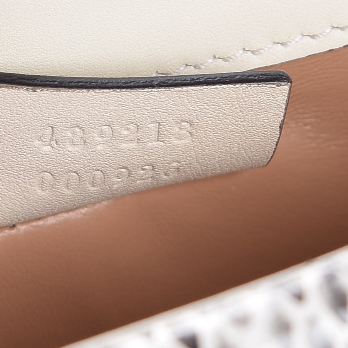 Python Mini Bee Broadway Shoulder Bag Roccia Fuxia