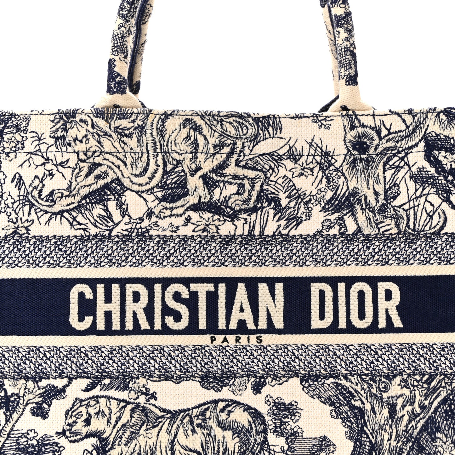 Canvas Embroidered Medium Dioriviera Toile De Jouy Book Tote Blue